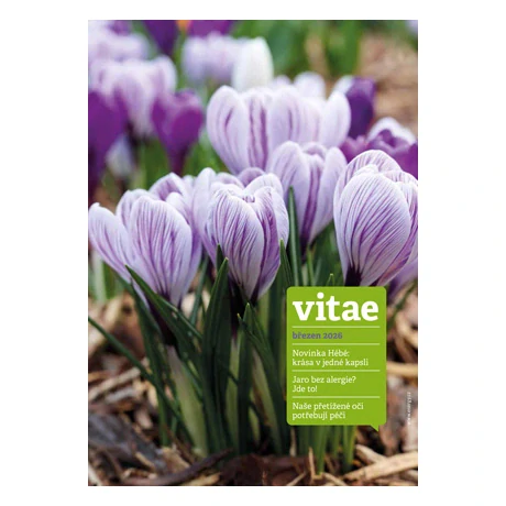 "Energy" REGISTRACE + DÁREK časopis Vitae 12ks/rok ZDARMA 